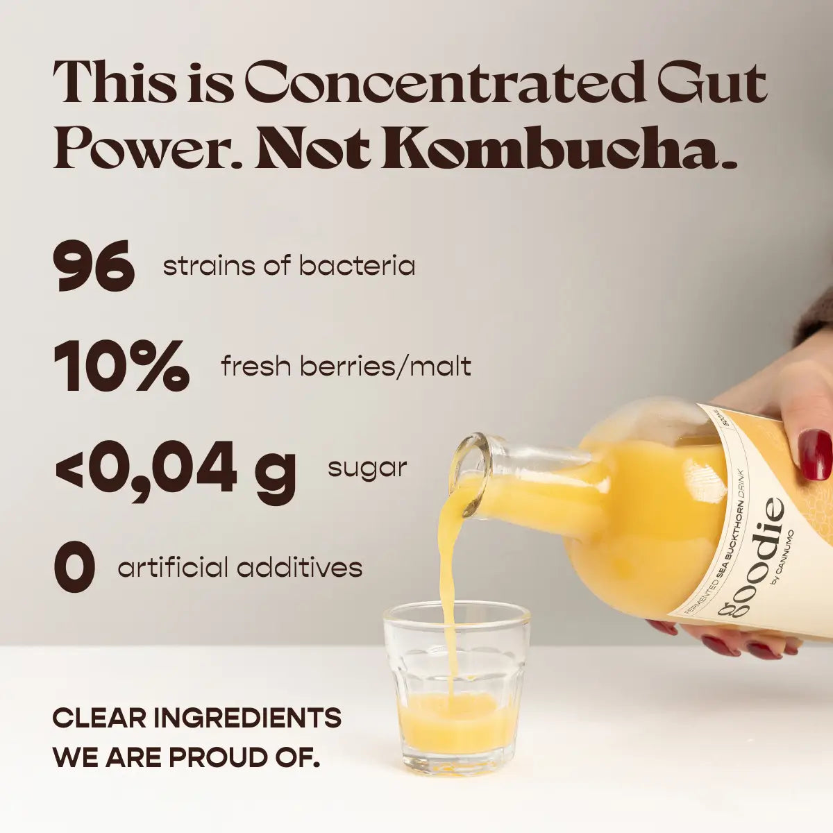 Ultimate Gut Health Support