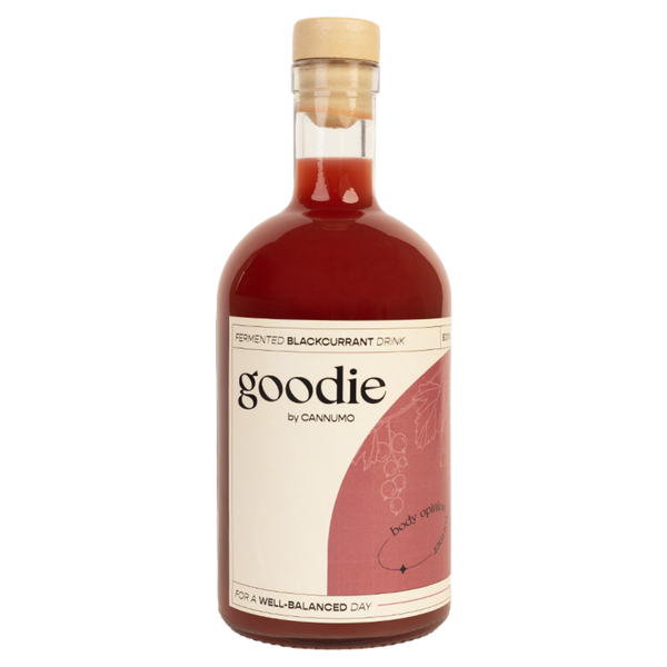 GOODIE – Fermented Blackcurrant Drink